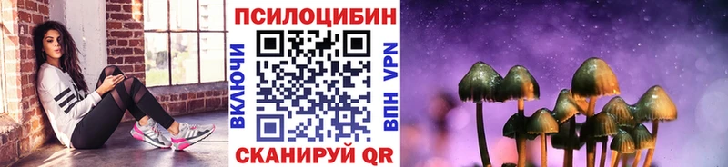 shop клад  omg ONION  Колпашево  где купить   Псилоцибиновые грибы Cubensis 